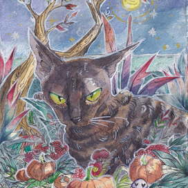 Портрет кошки