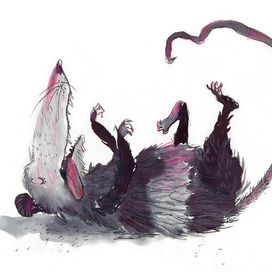 Хитрый опоссум 