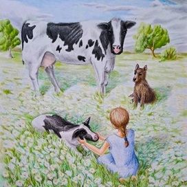 На ромашковом поле