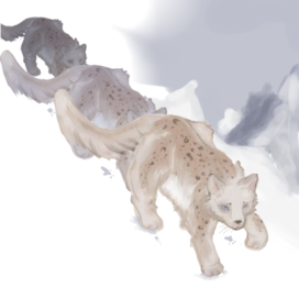 Белый барс. Опасность вблизи