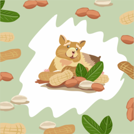 Хомяк и орехи. Паттерн.