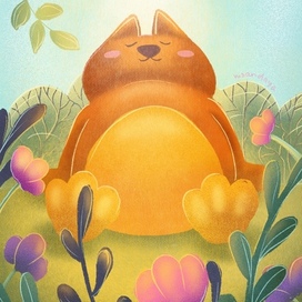 Кот на солнышке