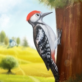 Лесной доктор