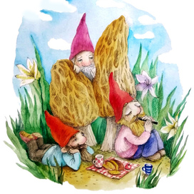 Грибы и гномы