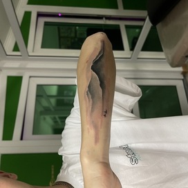 Там ревели горы