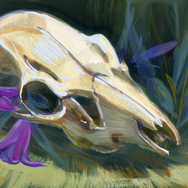 череп с цветами