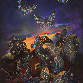 бабочки на закате