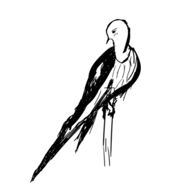 Жду ласточек