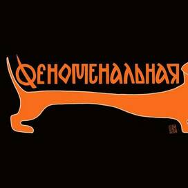 Феноменальная