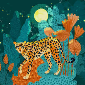 Ночная прогулка