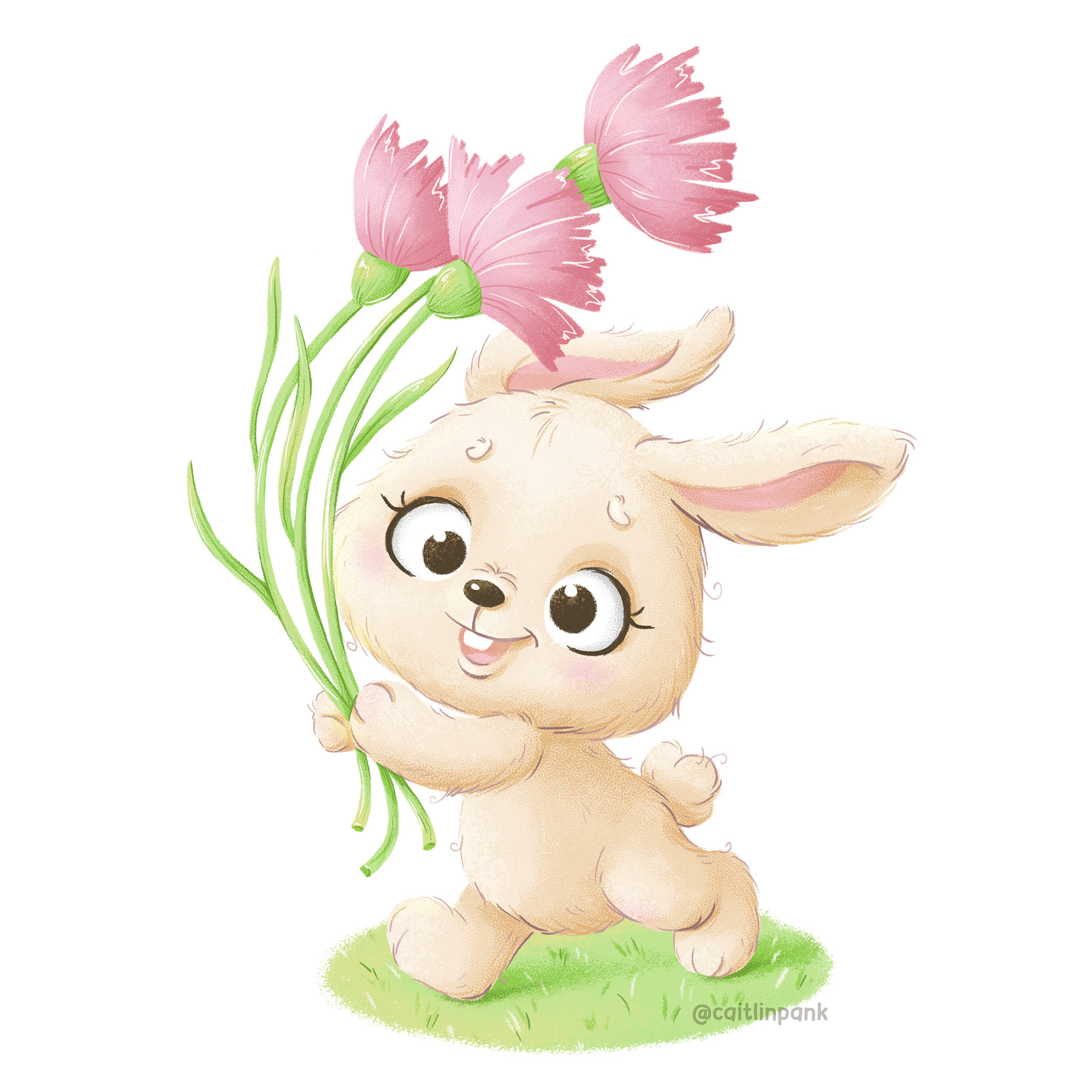 Зайка несет гвоздики