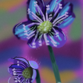 Синие цветы