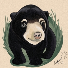 Малайский медвежонок