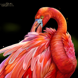 Фламинго