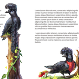 Умджи и необычные яйца