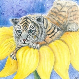 Чудо уссурийское