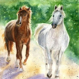 Сердца Алтая