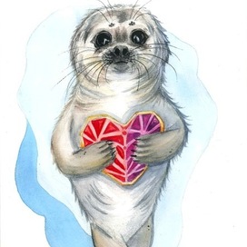 Балтийская нерпа