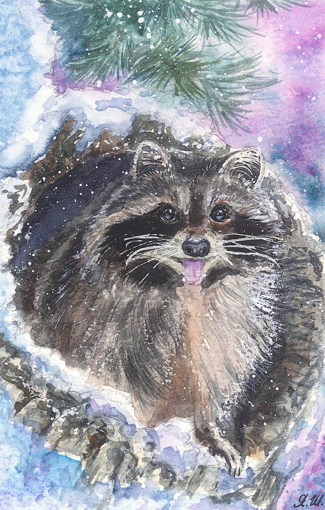 Енот. Серия открыток "Зимняя сказка"