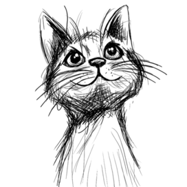 Эскиз котика