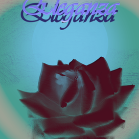 Элегантность