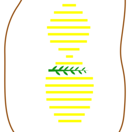 Яичница и веточка розмарина!