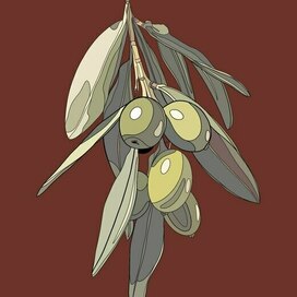 Olive branch