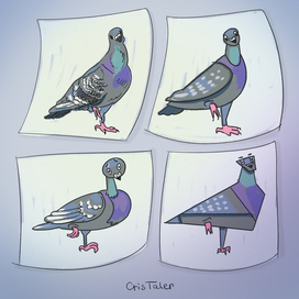 Стилизация голубя