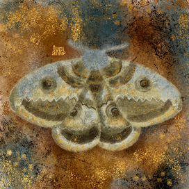 Павлиноглазка грушевая