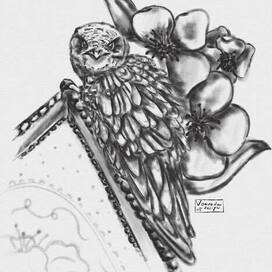 Скетч Черного стрижа