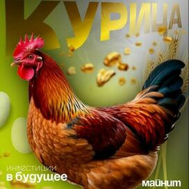 Инфографика