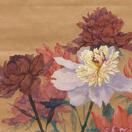 Майские пионы