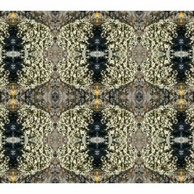 КОВРЫ ТАВРИДЫ