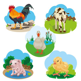 Домашние животные вектор