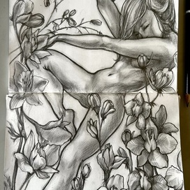 Дельфиниум