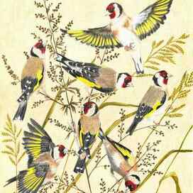 Щеглы на полыни