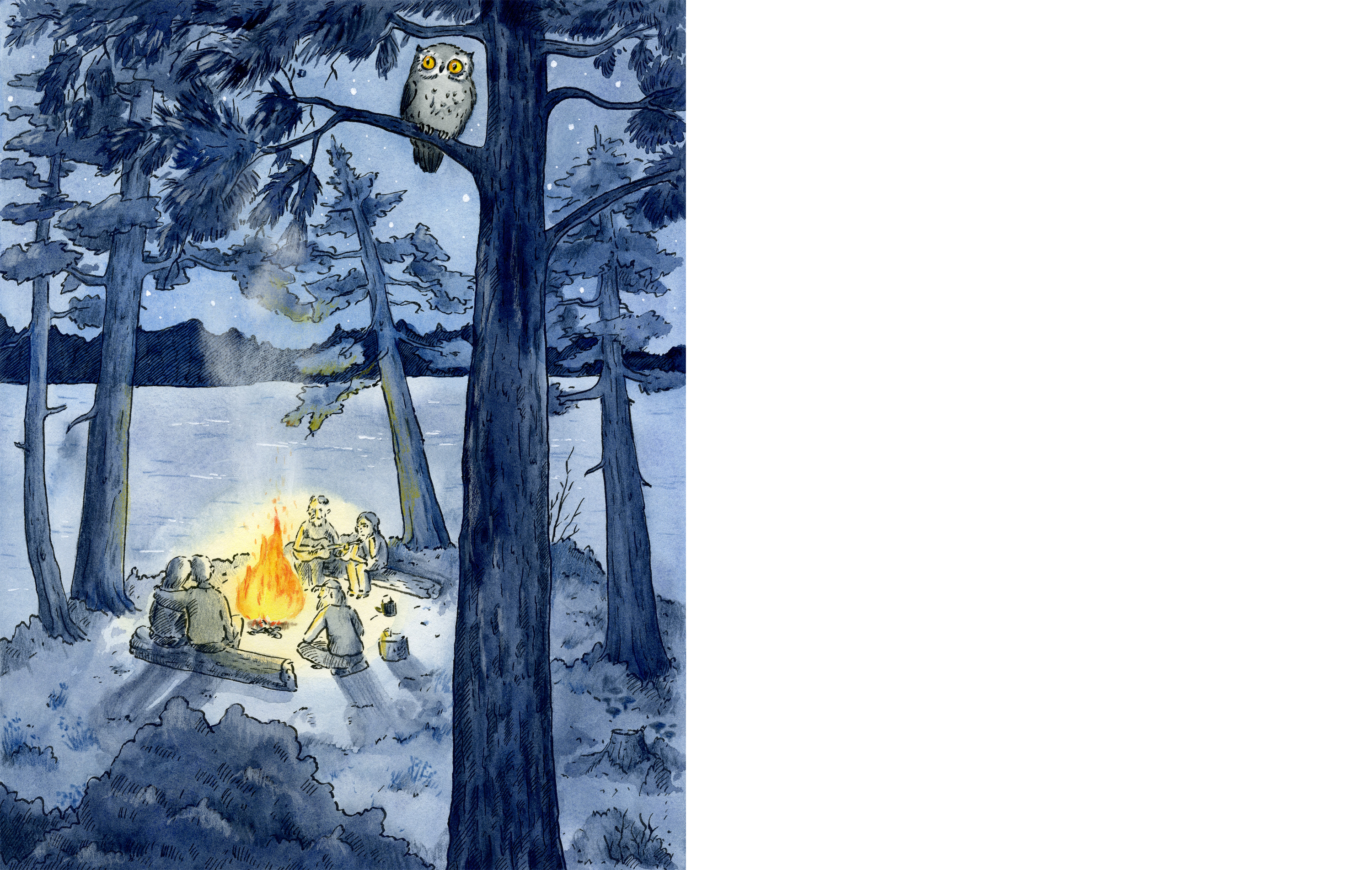 Иллюстрация к книге "Садовый ёжик Шур"