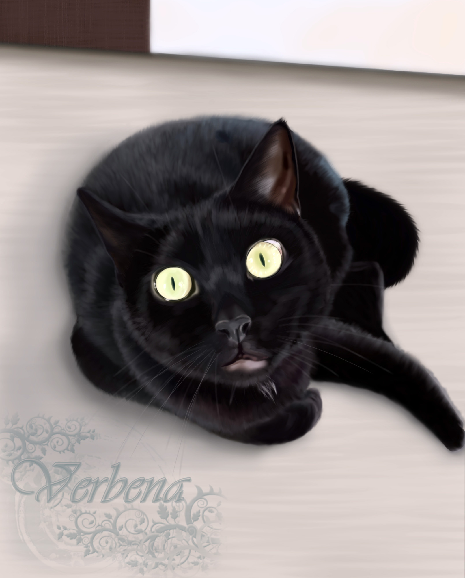 Черный котик