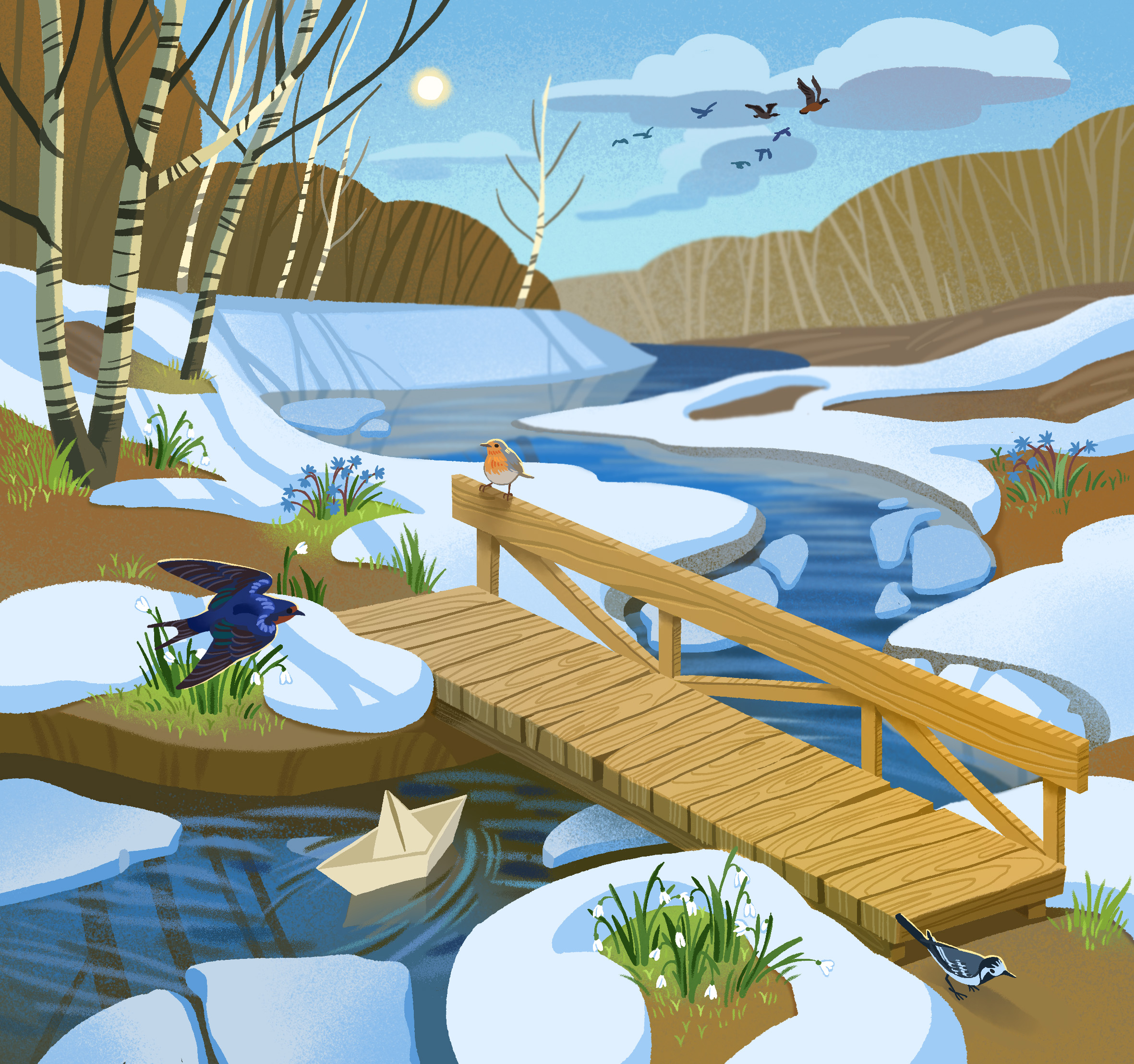 Живая и неживая природа