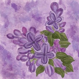 Lilac 