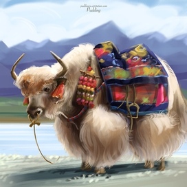 The shadow of ancient rocks