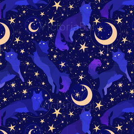 Космические котики