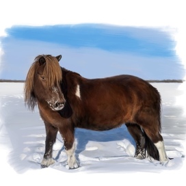 Зимнее утро в Якутии