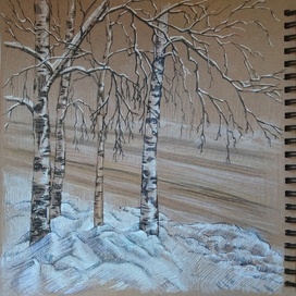 Зимние зарисовки