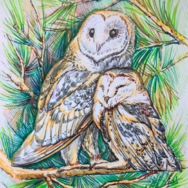 "Мудрость леса"