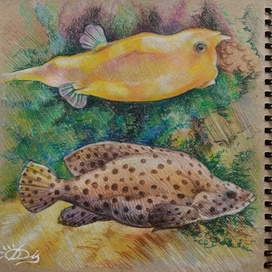 "Рыба-корова и групер"