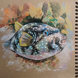 "Рыбка фугу"