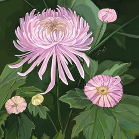 "Розовый сад"