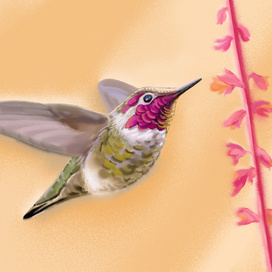 "Тропиканка"