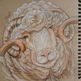 "Облачко с ножками"